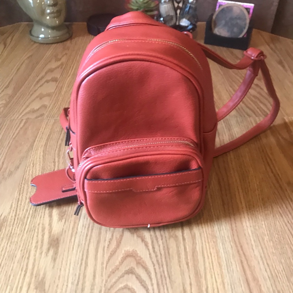 Brand new mini book bag. I just don’t have any use for it!